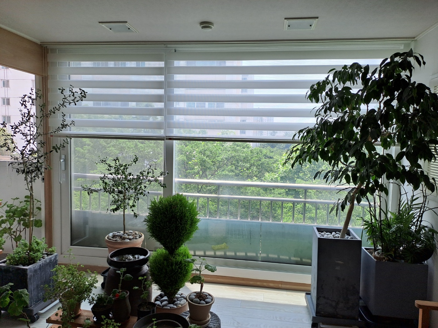 2000769928_eGCFYQ8A_040e575df60789218fa6f276bec04ba15eebaa2d.jpg 이미지크게보기